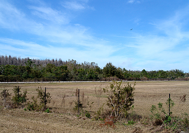 Panorama from the parking lot of the trail head. Note the buzzard which is not a Photoshop trick.